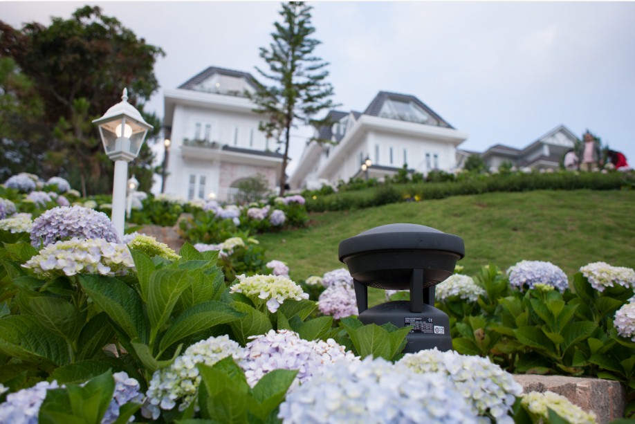 NGÀY SỐNG NHẸ TẠI DALAT DE CHARME VILLAGE